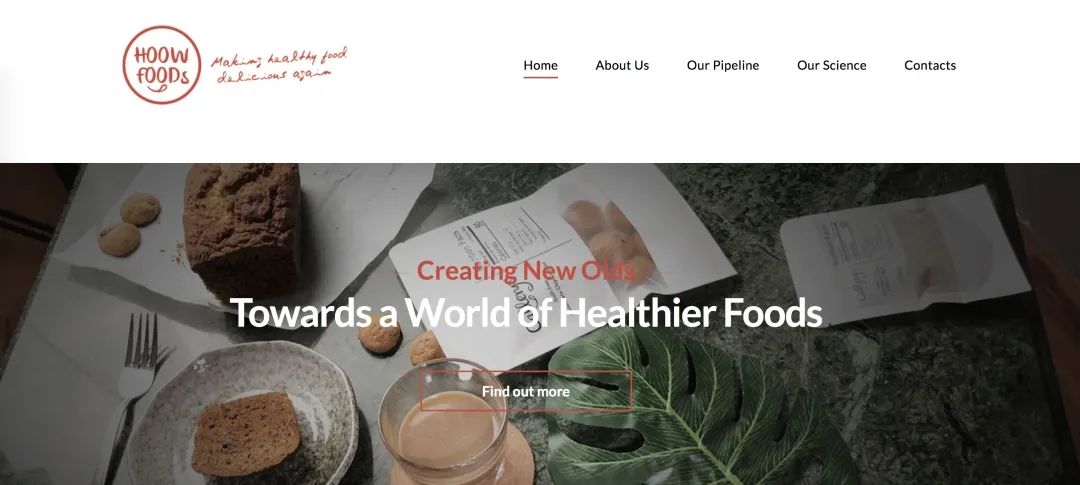 foodpanda运营,foodpanda新加坡优惠