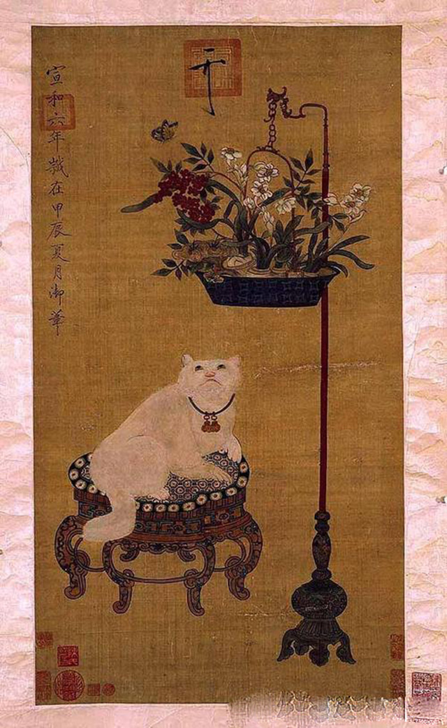 为什么明朝皇家如此钟爱饲养猫咪,宋朝人对于猫的态度