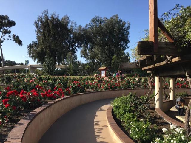 外交官摇篮是哪里,外交官摇篮韩国