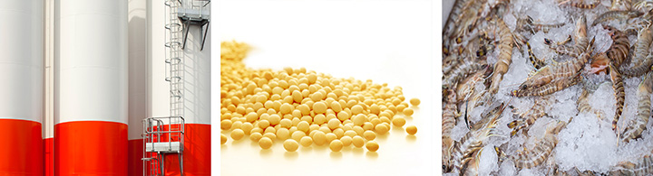 中国主要进口产品有哪些,国内常见进口商品