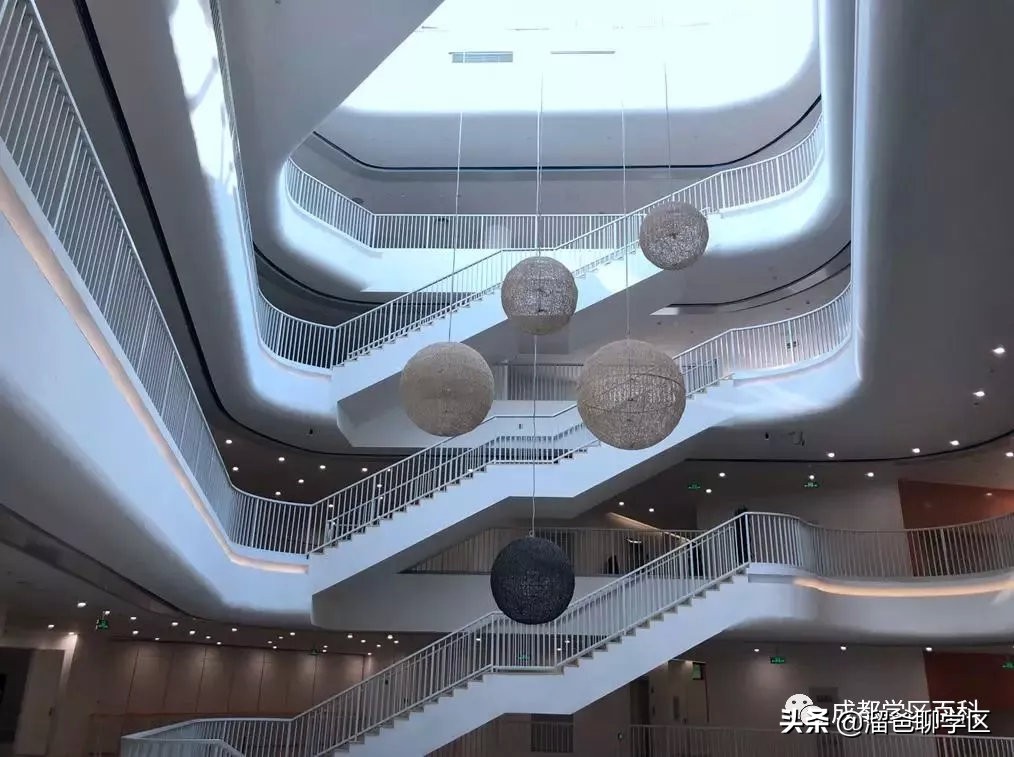 大源片区小学排名,高新区大源片区学校排名