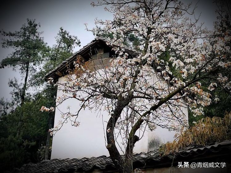 俺这是要跑到哪儿去（童年往事）