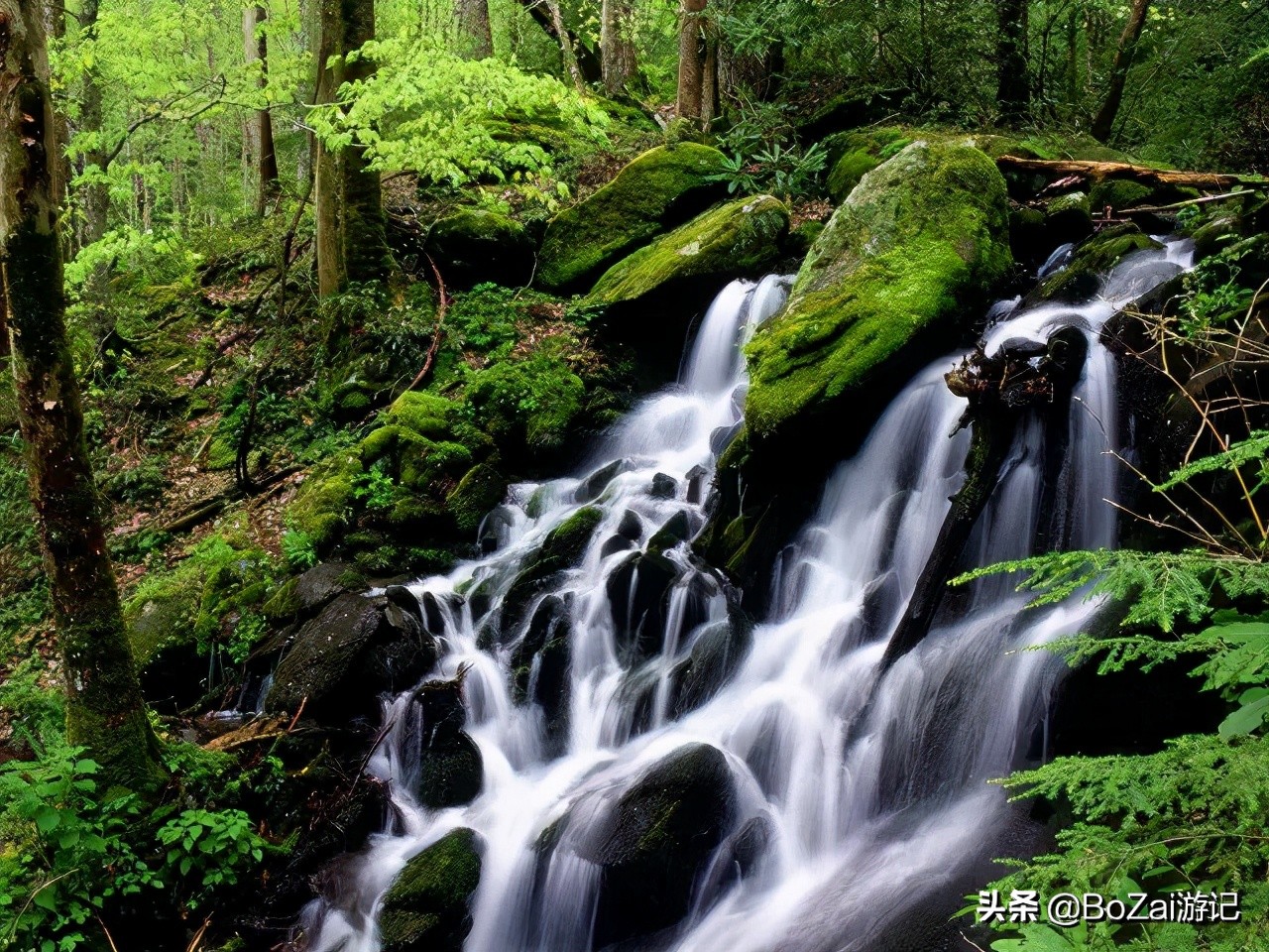 自驾广西有哪些好玩的,自驾游从广西出发去哪比较好玩