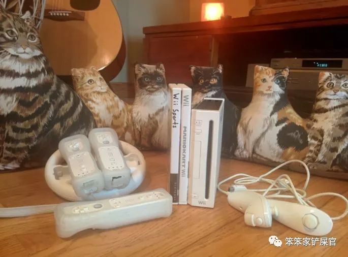 一个爱猫咪的女人,爱猫人士猫过敏