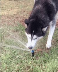 在楼梯上摔倒的搞笑视频,楼梯上摔下来搞笑图片