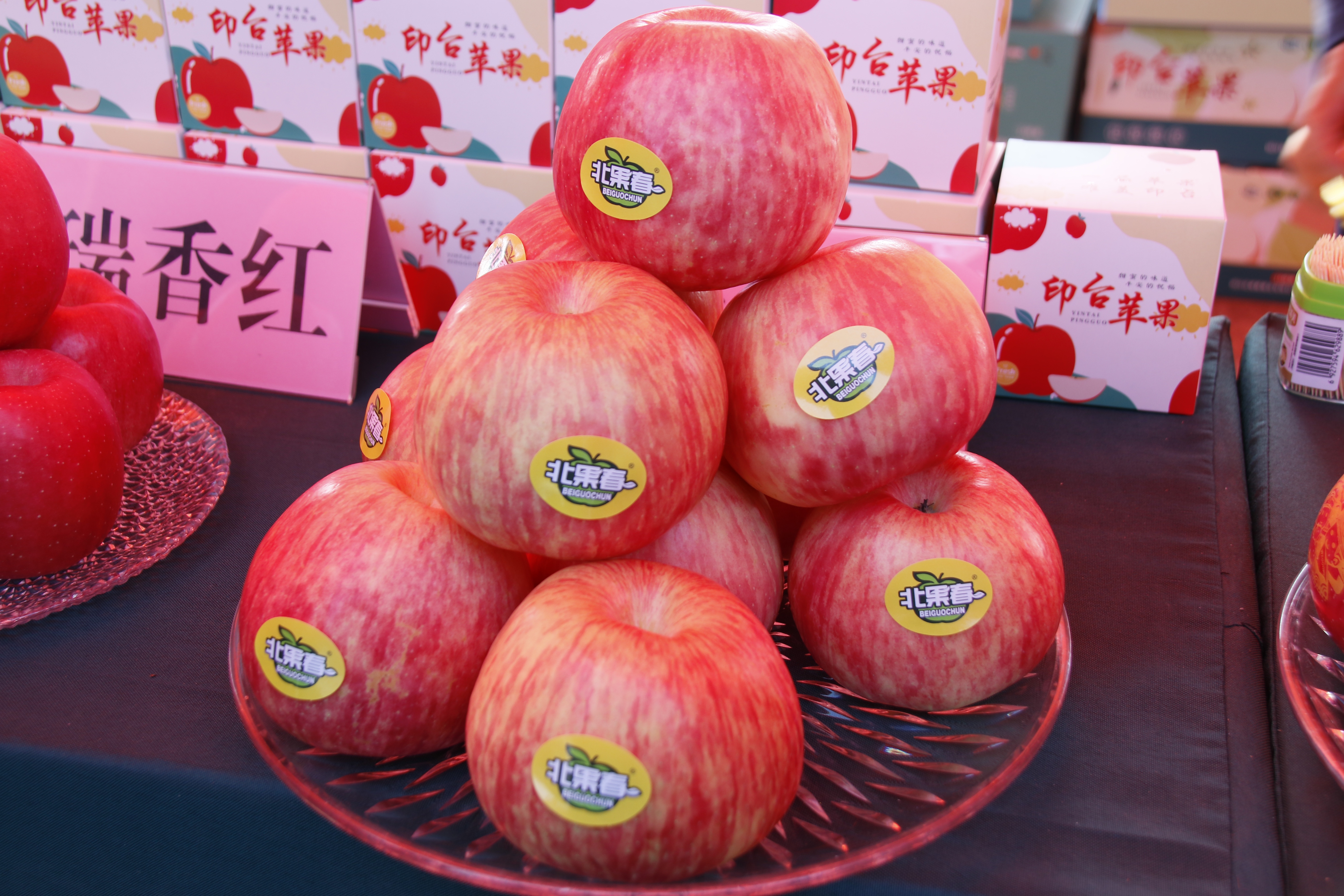 一品苹果·唯美印台，陕西果业产区行走进铜川印台区苹果优生区