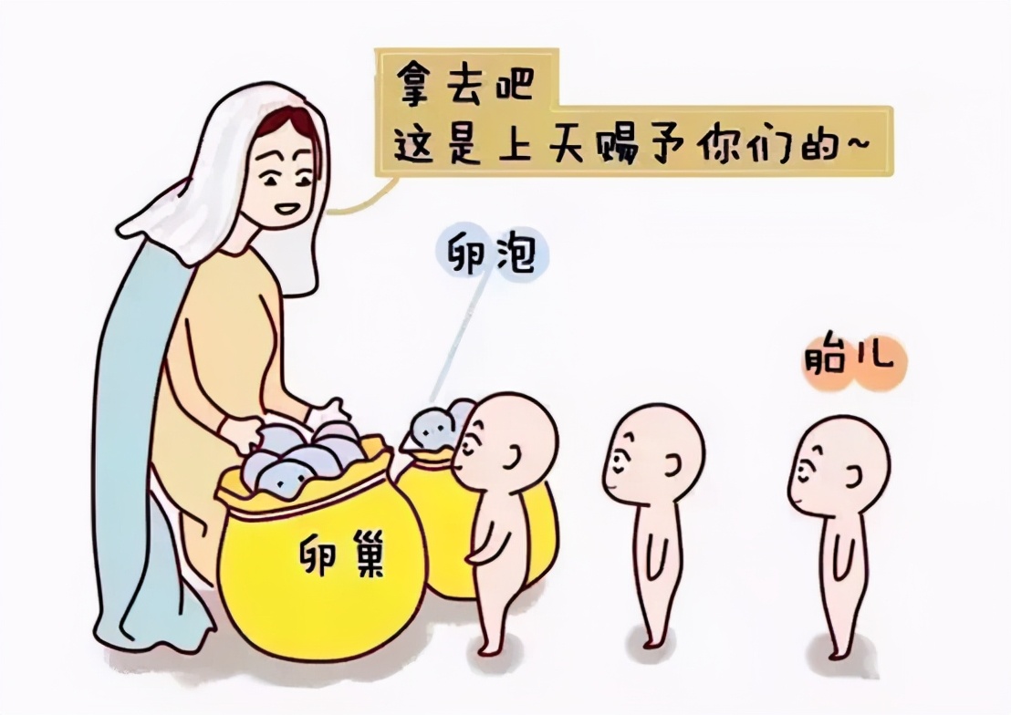 没怀孕查卵巢,计划怀孕需要做什么检查