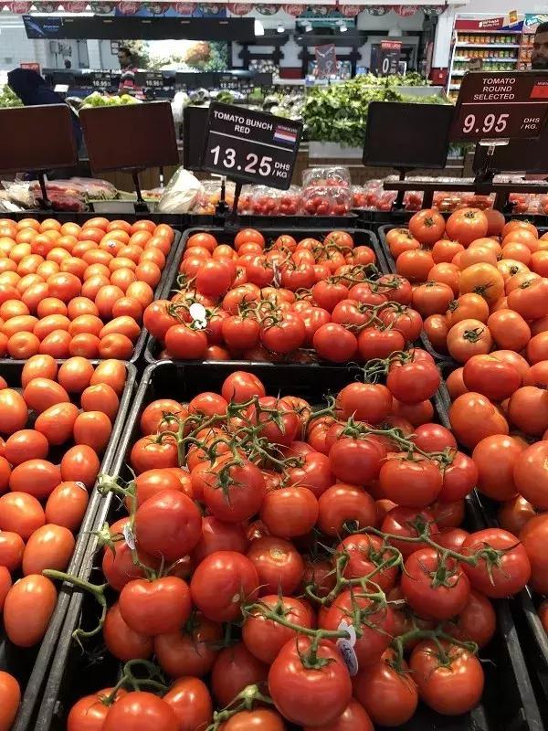 在迪拜生活的有多好,在迪拜普通人打工生活消费高吗