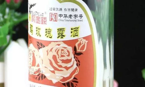 回力品牌球鞋,回力球鞋商标详解