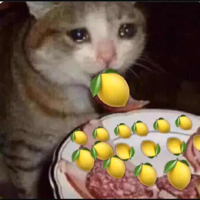 欧阳娜娜穿着匡威的经典款出镜,欧阳娜娜有所有的匡威