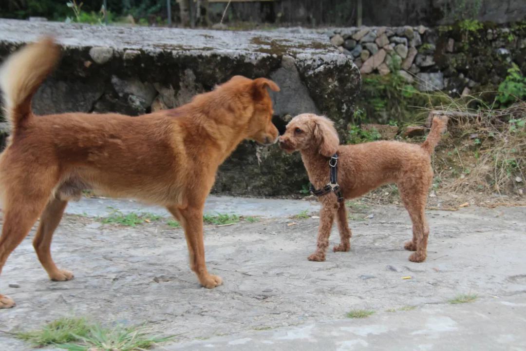 我要去旅行英文,我要去旅行完整版