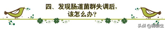 肠道菌群失调最快的调理方法,肠道菌群紊乱如何快速调理