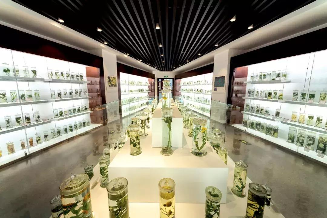 “国字号”实验室即将开放要不要一起去了解滚滚怎么繁育呀？