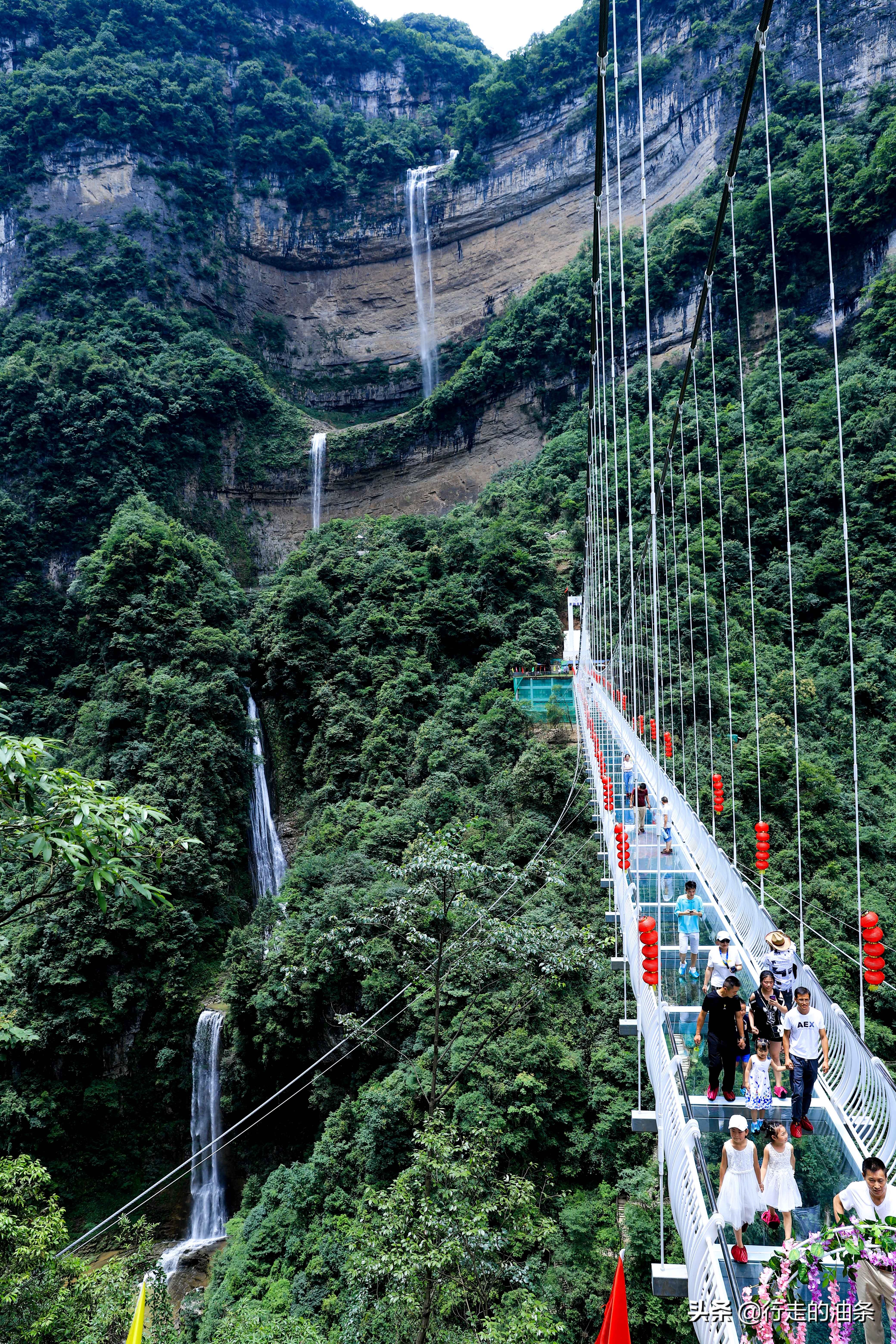 三峡竹海秭归,秭归三峡竹海