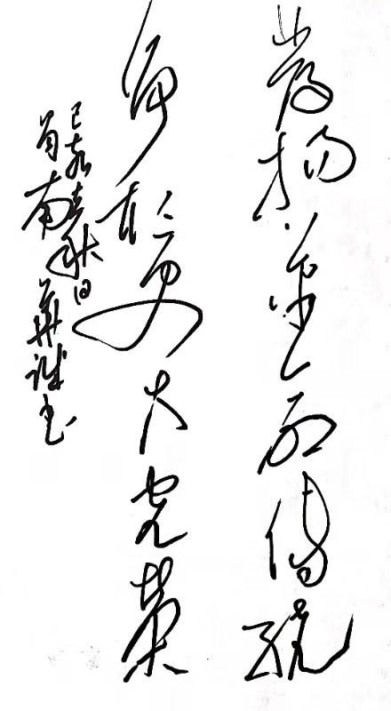 现代书法家华奎,当代书法家华伟