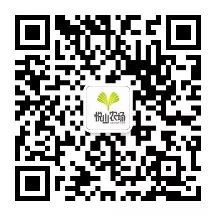 我们在距芜湖70公里的古坝村，找到了向往的生活