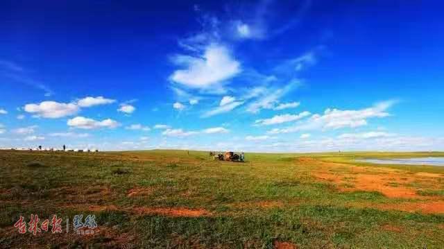 白菜价机票来了,白菜价的机票