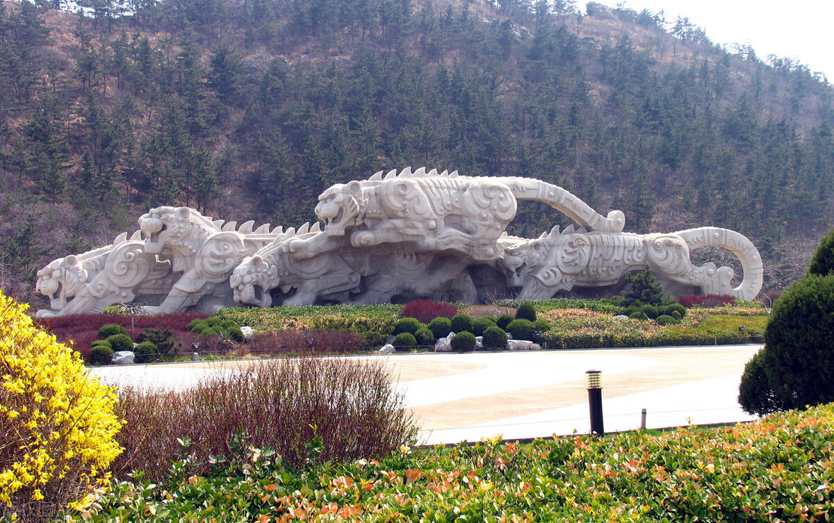 大连不欠你的，不要伤害它