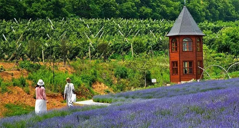 田园综合体发展的最新趋势,田园综合体项目可行性分析