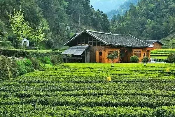 2022骞存仼鏂藉晢涓氶瓍鍔涙帓琛屾,榄呭姏鎵撳崱涔嬪煄鎭╂柦