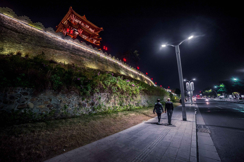 星湖冬日燃情，比落羽杉还要红的是什么？#我和湿地有个约会#