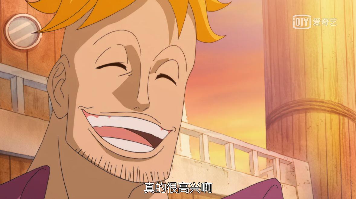 海贼王妮可罗宾经典热血语录,海贼王第一话到第100话