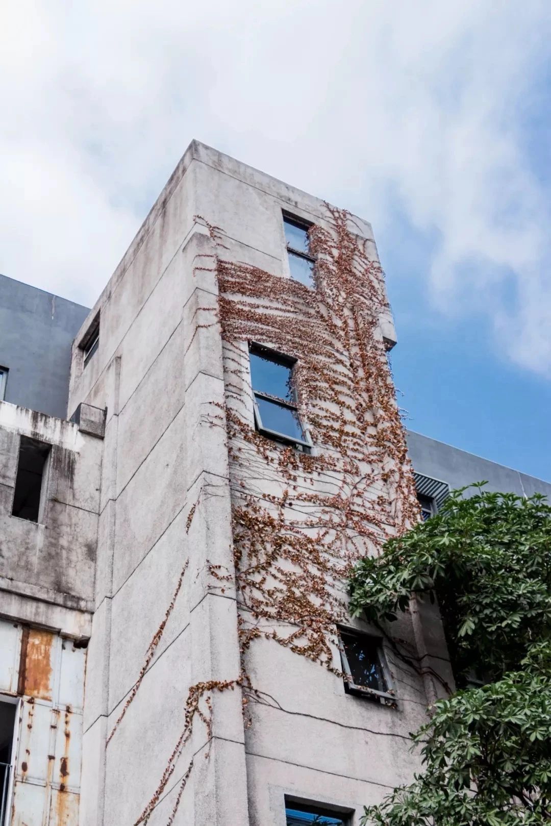 深圳旅游好去处推荐,深圳宝安区周末休闲浪漫好去处