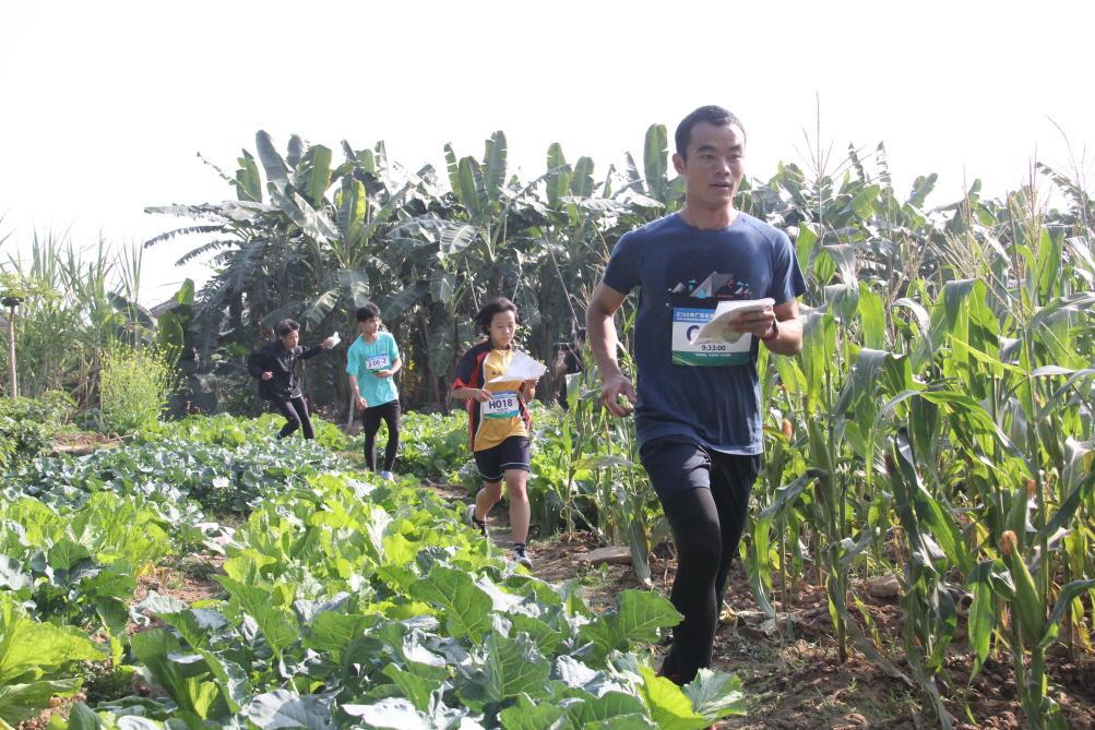 2020年广东省定向冠军赛带你“打卡”砚洲岛