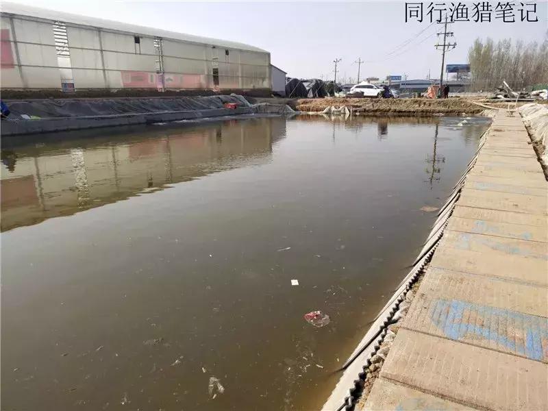 案例分析：窝子冒泡，漂却不动