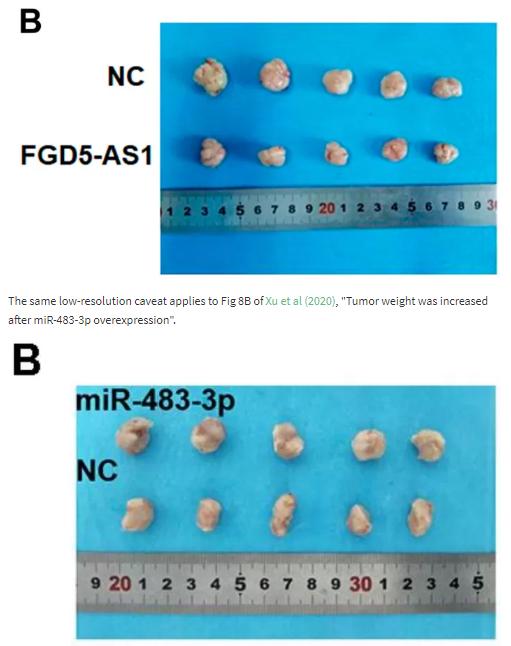 南昌大学第二附属医院，沧州中心医院等单位发表的sci论文遭质疑
