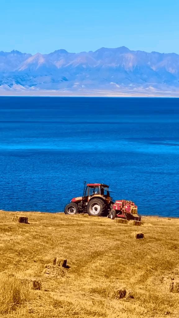 如果你不了解现实你就去看历史,如果你不了解历史就无法展望未来