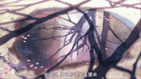 日本动画秒速5厘米,秒速五厘米动画书