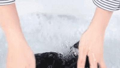 网红瘦腿打底裤测评,网红塑形瘦腿裤