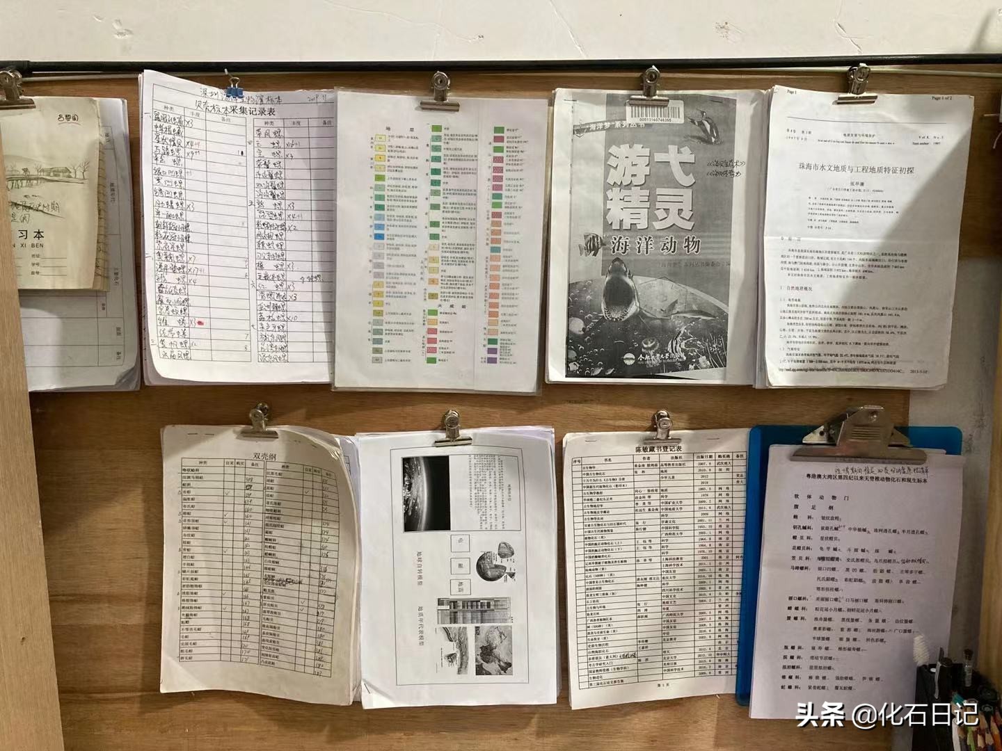 如果你的父亲正在从事中国最冷门的行业，你该去怎样支持他？