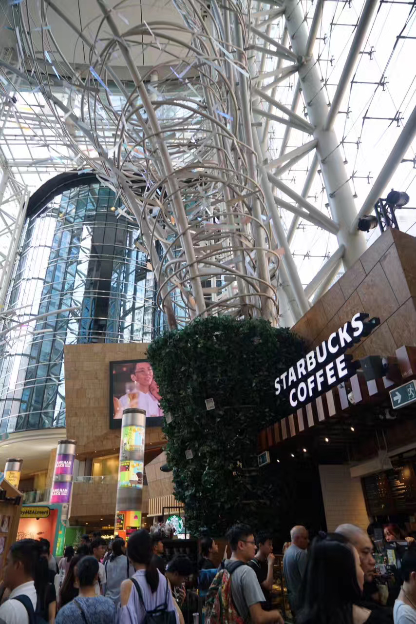 香港的购物天堂在哪里,玩转港澳游景点