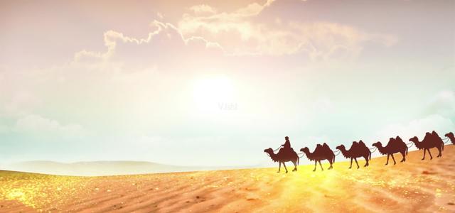 被称为沙漠之舟的骆驼站,被誉为沙漠之舟的骆驼原版