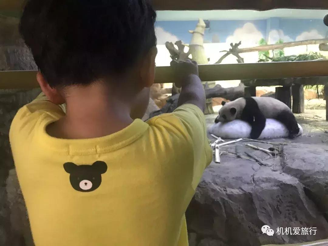 珠海长隆和广州长隆旅行攻略,珠海长隆和广州长隆旅游攻略区别