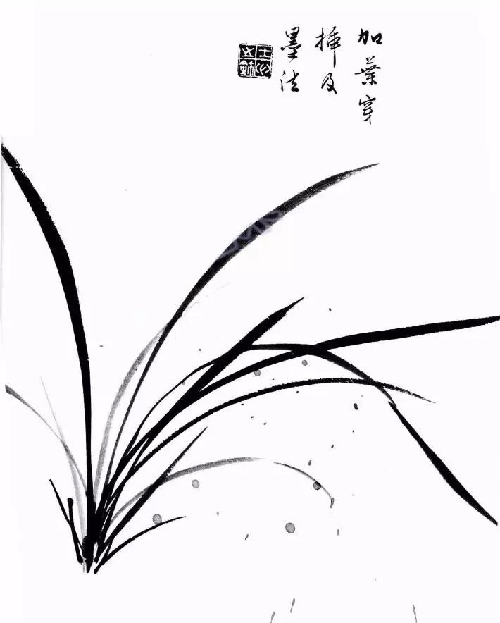 工笔兰花画法步骤详解,兰花的十种画法讲解