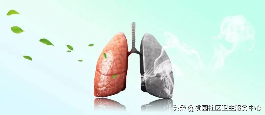 肺结核基层诊疗指南2018,肺结核诊疗指南2018