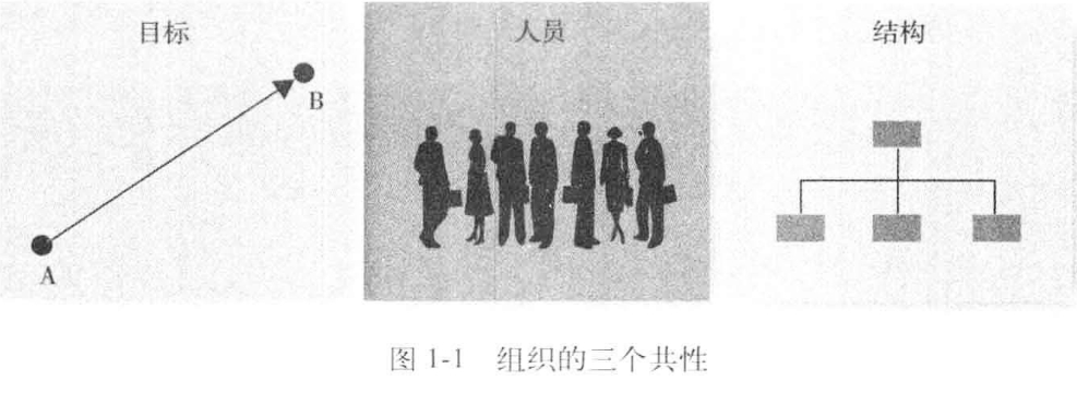 从零开始读懂管理学,管理学怎么讲