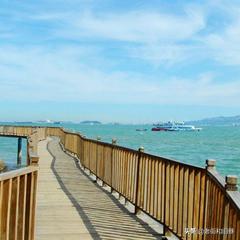 四天玩遍厦门,四天畅游厦门