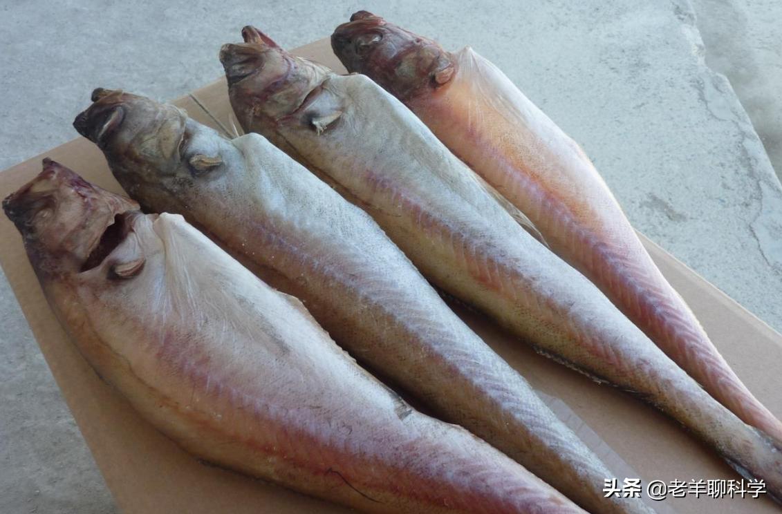 掌握朝鲜半岛的“救命鱼”，俄罗斯却拱手让中国，究竟有何企图？