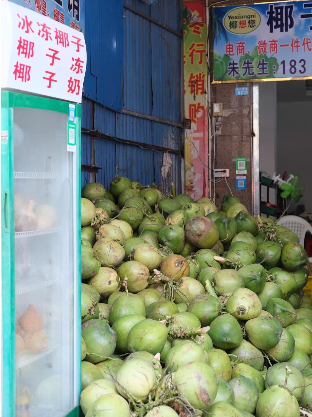璇ヤ笉璇ュ幓娴峰彛,鏉ュ埌娴峰彛浣犲悗鎮斿悧