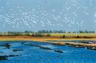 云南瑞丽腾冲离缅甸有多远,瑞丽与腾冲地理位置