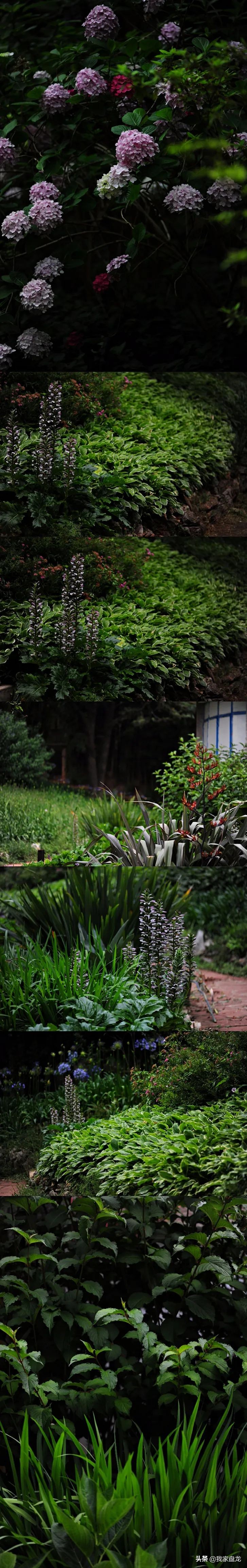 教你们一些特别实用的栽花小技巧,栽花有没有什么方法让它活得更好