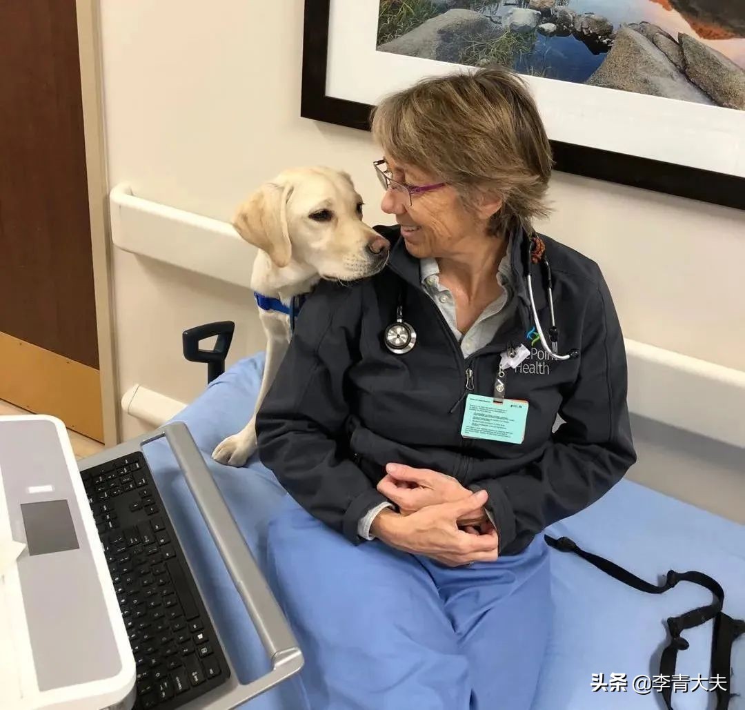 麦扣的家庭,麦扣的质感好物