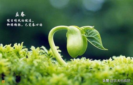 双春兼月结婚好时年什么意思,双春年什么说法