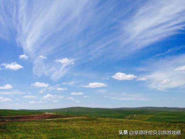 六月份呼伦贝尔草原旅游合适吗,呼伦贝尔大草原几月去最好