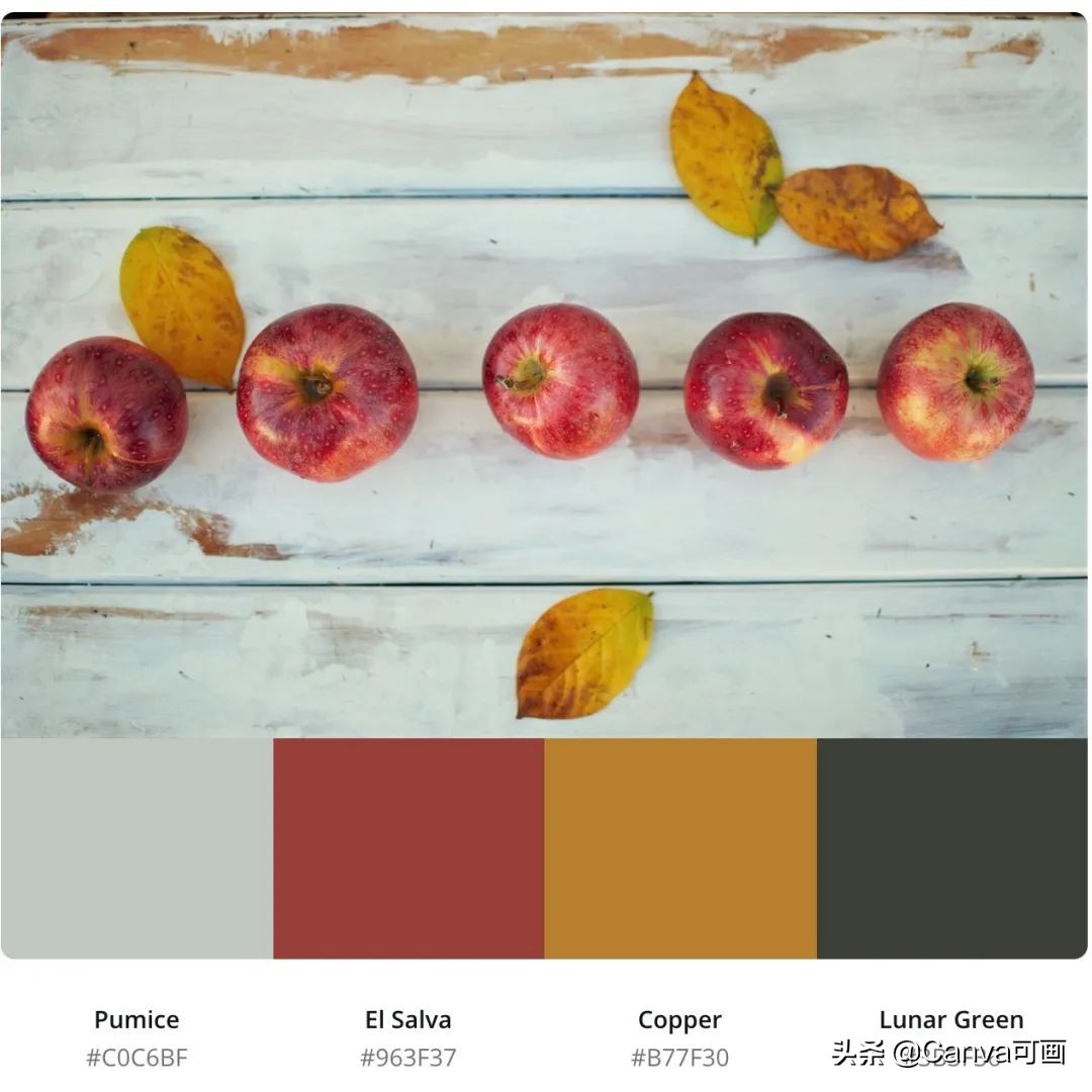 秋天配色插画秋高气爽,秋季高清插画