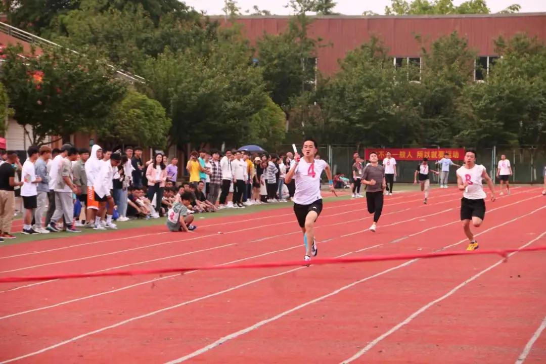 飒!123张图,带你“动+静”看赛场